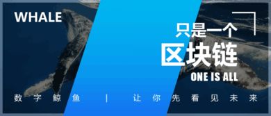 区块链乱象纷纭, 马云 , 数万人纷纷退场 区块链能改变未来金融