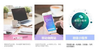 重磅消息 筑巢e cms震撼上线
