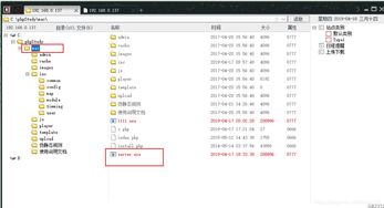 苹果cms x.8 取管理员权限